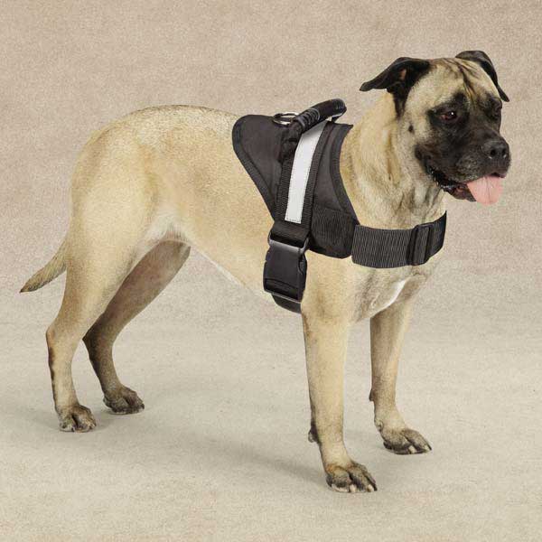 HDP Big Dog Soft Adjustable Padded No Pull Harness  - 第 1/1 張圖片