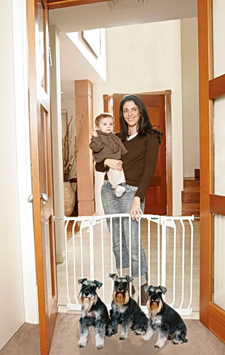Bindaboo Gate Hallway Security Metal (B1104 or B1103)