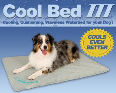 U.S. Cool Bed III Large 32 x 44