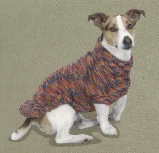 SWEATER DD CHAMELEON