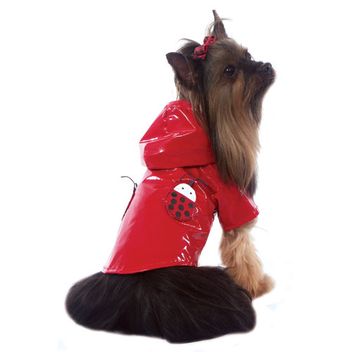 Rain Coat Cha-Cha Couture Reversable Lady bug