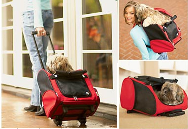 Roll Along Carrier & Backpack ON WHEELS