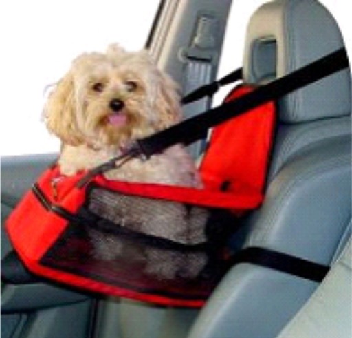 Car Lookout Car Booster Seat