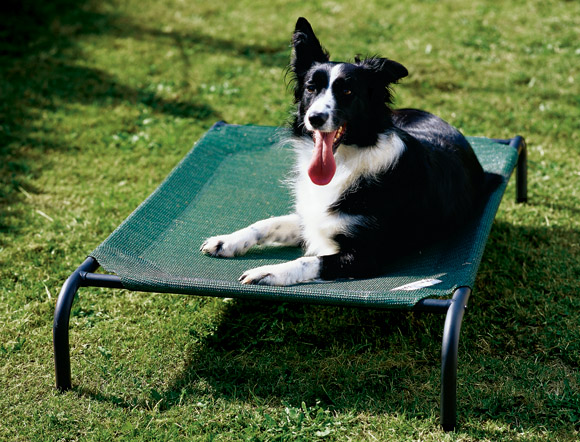 Coolaroo Steel Pet Bed Large