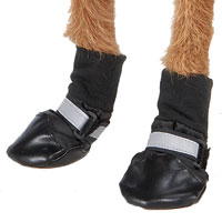 Dog Boots Set of 4