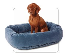 Bowsers Bed Donut Diamond Small