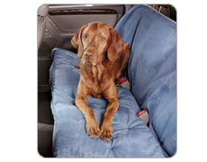 Bowsers Car Seat Cover Rear 57