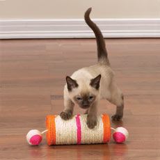 Cat Products