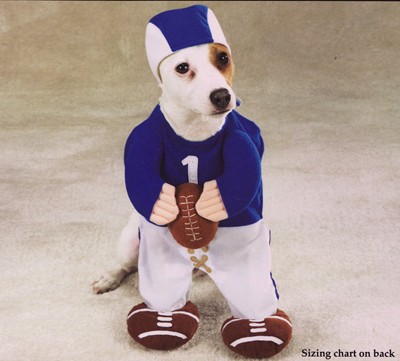 Pet Costume Football Fever