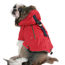 Parka Coup D (2 colors)
