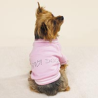 Dog Tee 