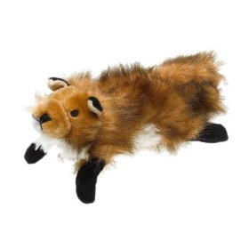 AKC Fox Small