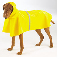 Rain Coat Hooded 