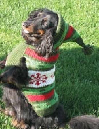 Chilly Dog Wool Hoodie Sweaters 100 % Wool