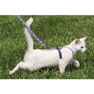 PREMIER Come With Me Kitty Cat Harness and Leash