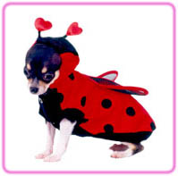 Pet Costume Lady Bug