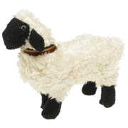 AKC Lamb Small