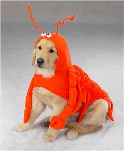 Pet Costume Lobster Paws