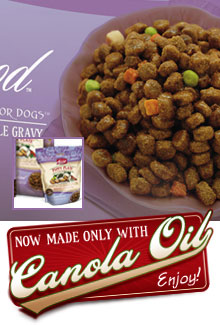 Merrick Dry Puppy Plate 5Lb.