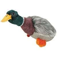 Migrator Mallard 12