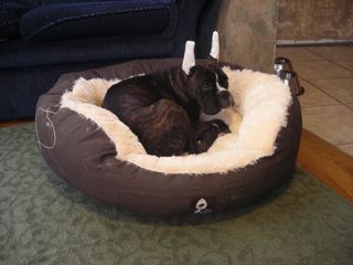 Multi Pet Donut Bed (Dolgi) 30