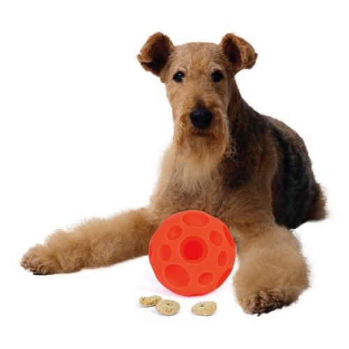 Omega Treat Ball