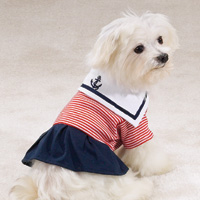 Paw Harbor Dress