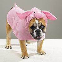 Pet Costume Piggy Pooch