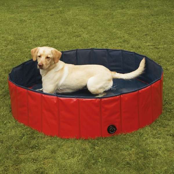 Dog Swimming Pool Free shipping