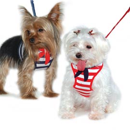 Collars Leads and Harnesses