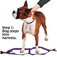 Two Step Harness