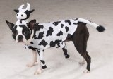 Pet Costume Udderly Adorable