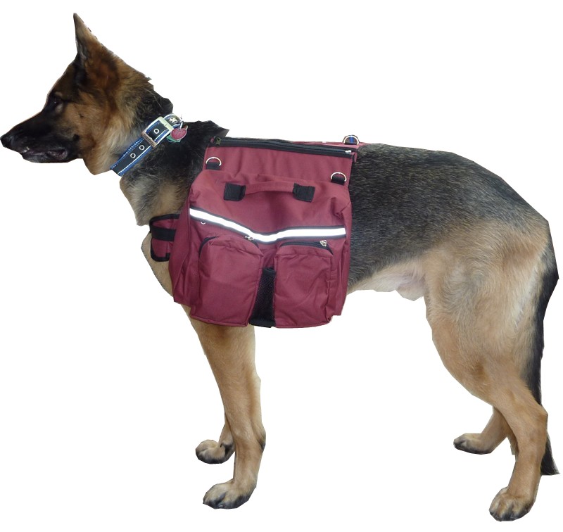 Camelbak hawg military price, osprey backpacks geelong 2014, large dog ...