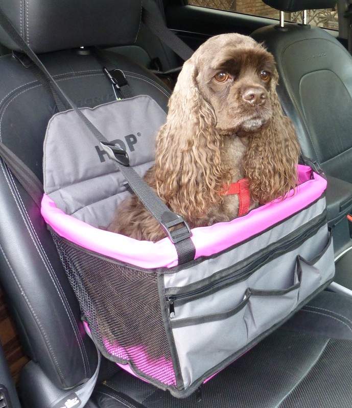 Hdp dog car seat sale