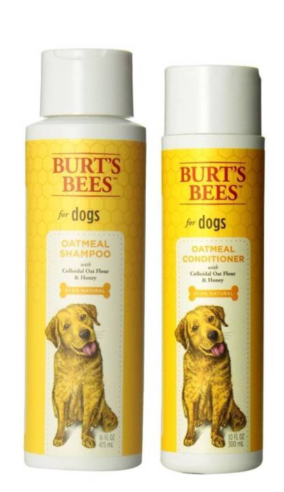 burt's bees dog shampoo