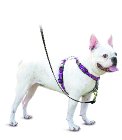 hdp big dog harness
